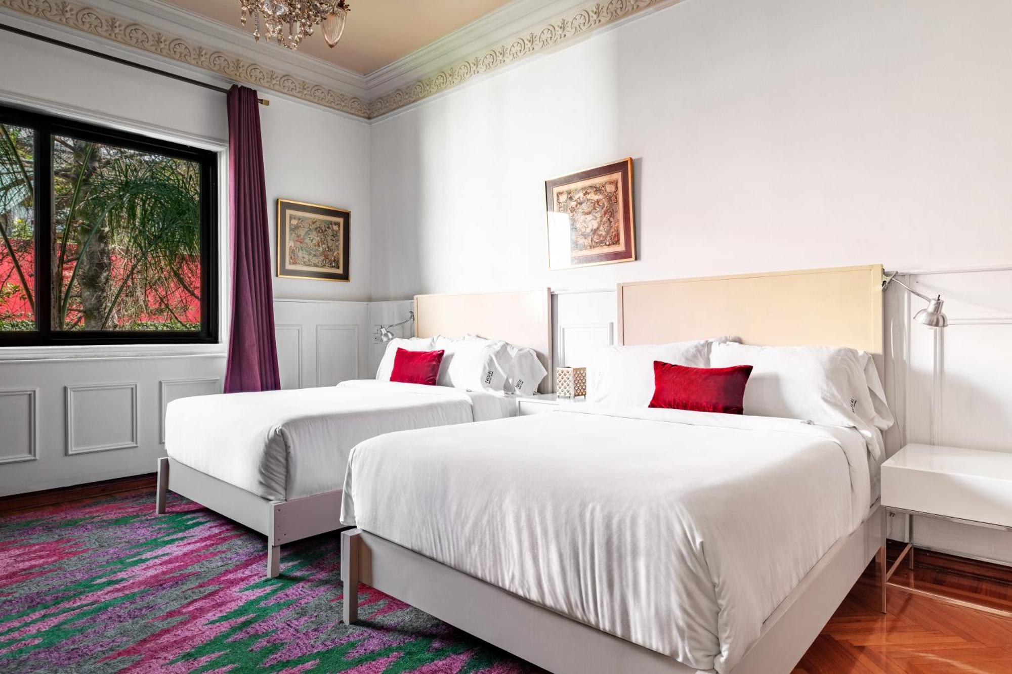 Pug Seal Polanco Anatole France Hotell Mexico by Rom bilde